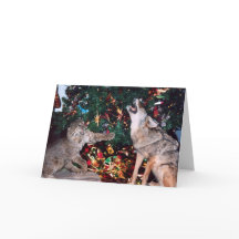 Bobcat Coyote Wild Animal Southwest Christmas Card