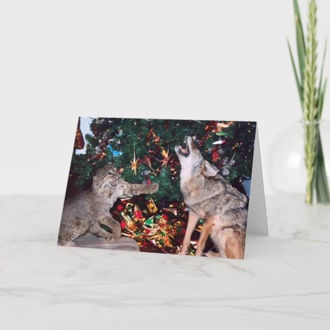 Bobcat Coyote Wild Animal Southwest Christmas Card (Front)