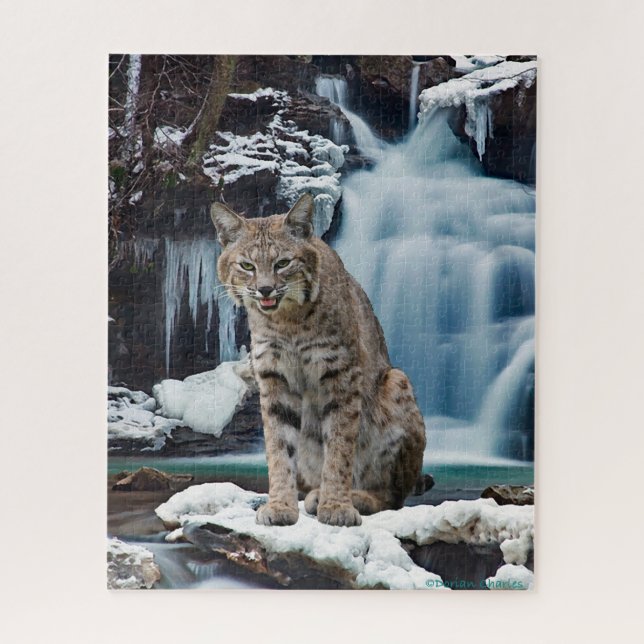 "Bobcat Falls" Jigsaw Puzzle (Vertical)