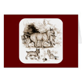 Bobcat Family (Front Horizontal)