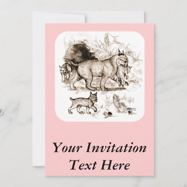 Bobcat Family Invitation (Front)