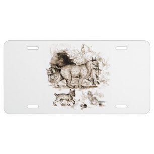 Bobcat Family License Plate