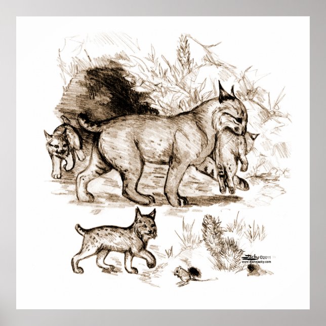 Bobcat Family Poster (Front)