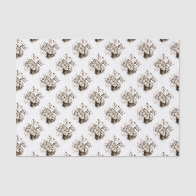 Bobcat Family Tissue Paper (Front)