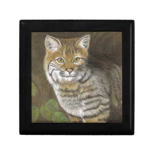 Bobcat Gift Box