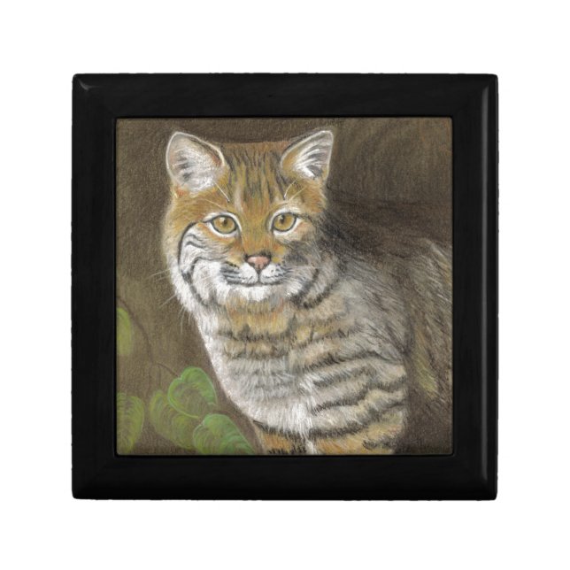 Bobcat Gift Box (Front)