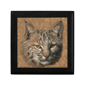 Bobcat Gift Box