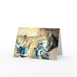Bobcat Habitat Greeting Card