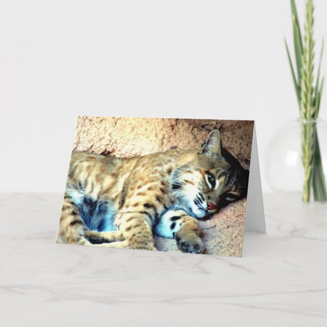 Bobcat Habitat Greeting Card (Front)