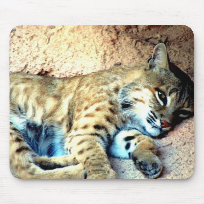 Bobcat Habitat Mouse Pad