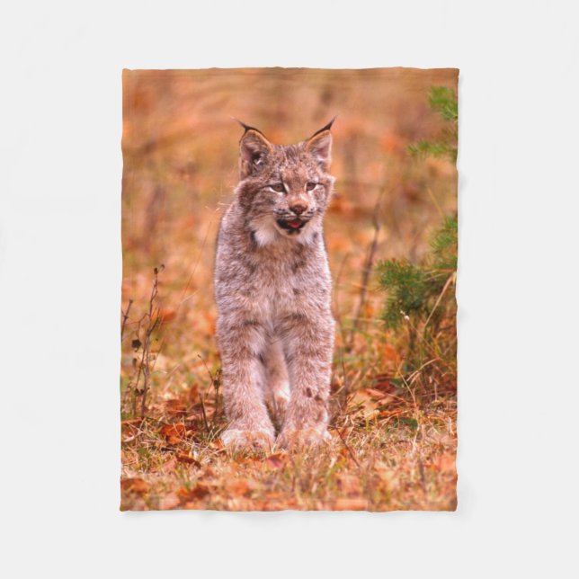 Bobcat Hunting | Autumn Forest Fleece Blanket (Front)