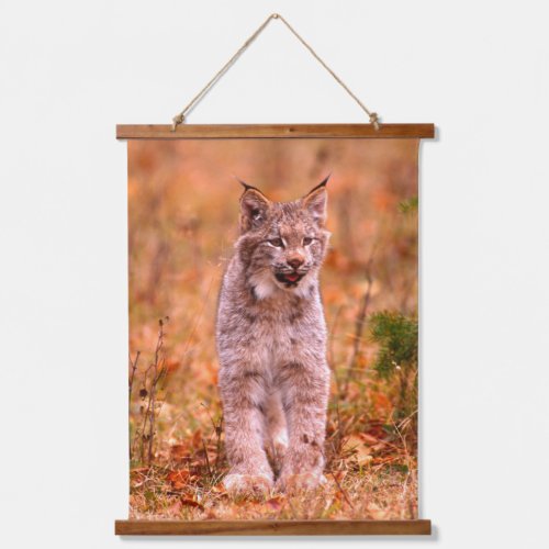 Bobcat Hunting  Autumn Forest Hanging Tapestry