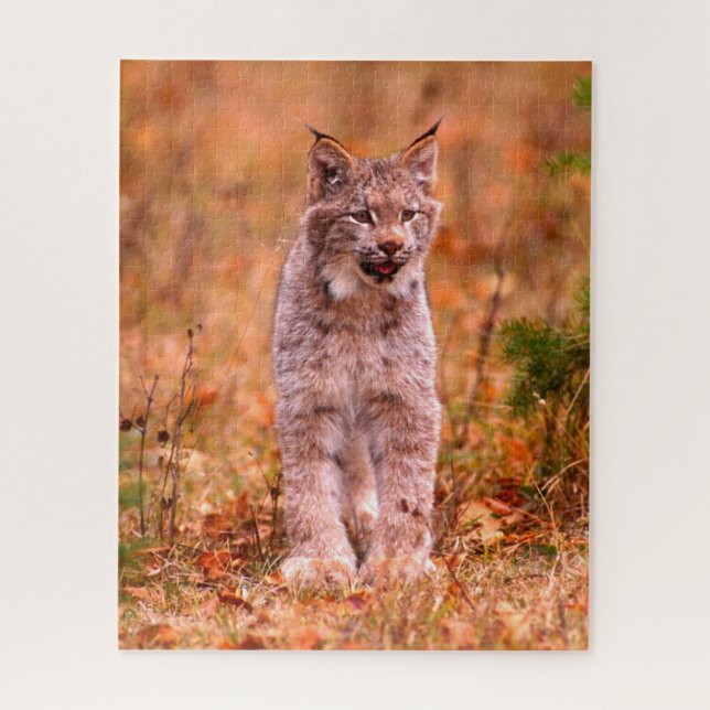 Bobcat Hunting | Autumn Forest Jigsaw Puzzle (Vertical)