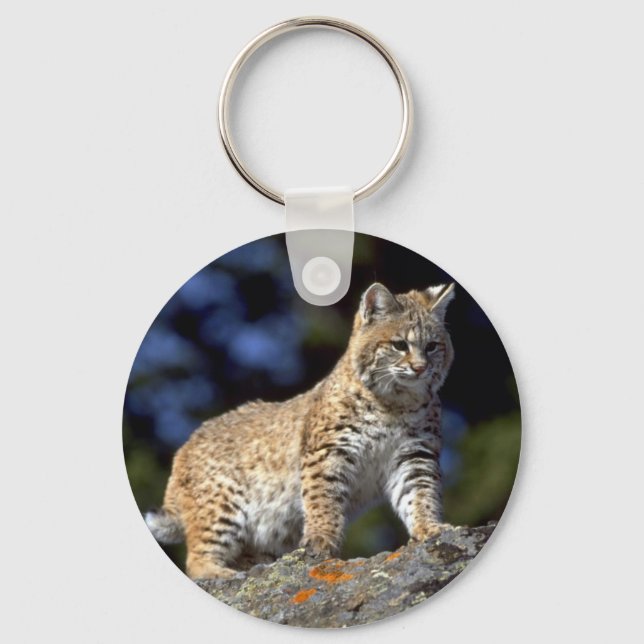 Bobcat Keychain (Front)
