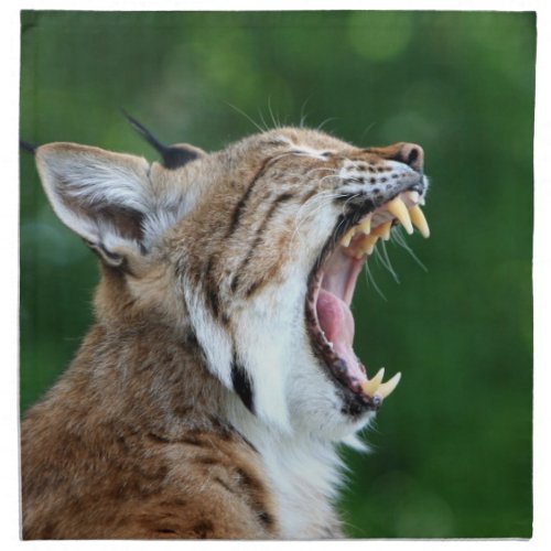 Bobcat lynx beautiful close_up photo table napkin