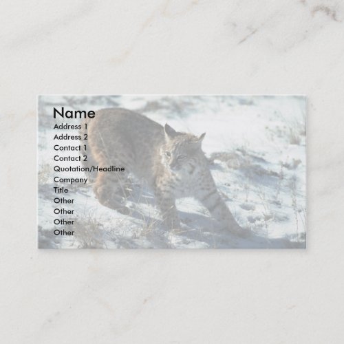 Bobcat on snow business card template