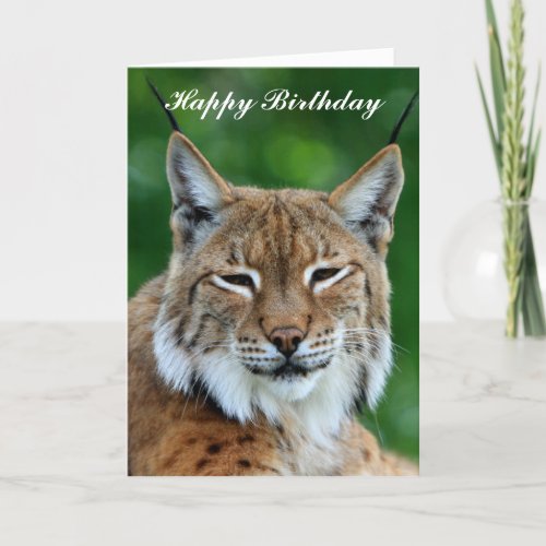 Bobcat or Lynx beautiful happy birthday card