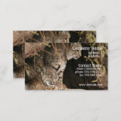 Bobcat Photo Business Card (Front/Back)