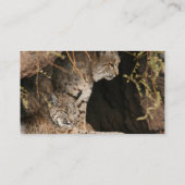 Bobcat Photo Business Card (Back)