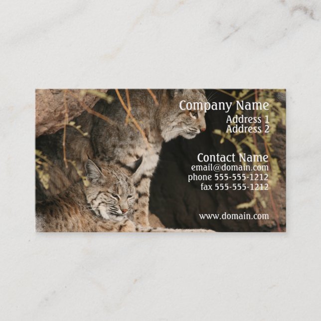 Bobcat Photo Business Card (Front)