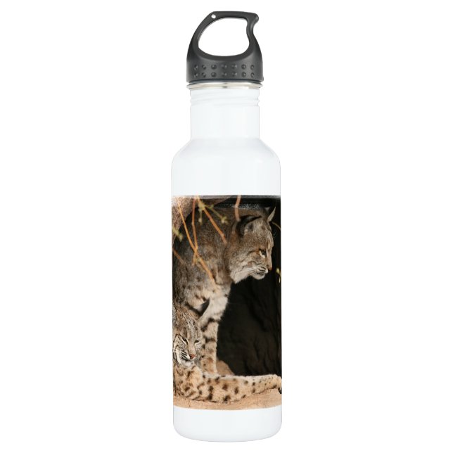 Bobcat Photo Stainless Steel Water Bottle (Front)