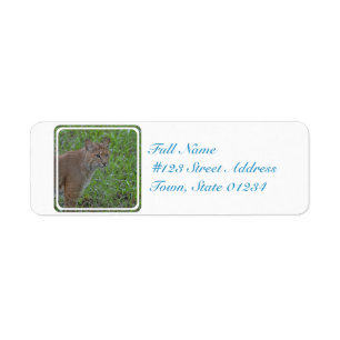 Bobcat Prowling Label