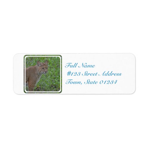 Bobcat Prowling Label