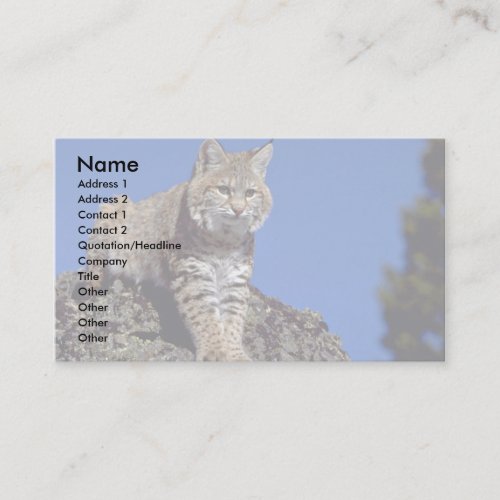 Bobcat skylined business cards