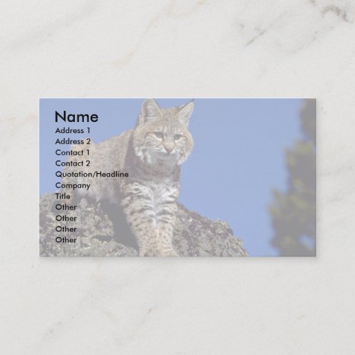 Customizable Bobcat skylined business cards