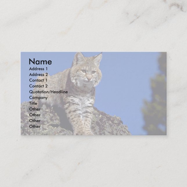 Bobcat skylined business card (Front)