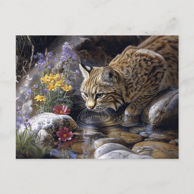 Bobcat with Wildflowers Scenic Art Postcard (Front)