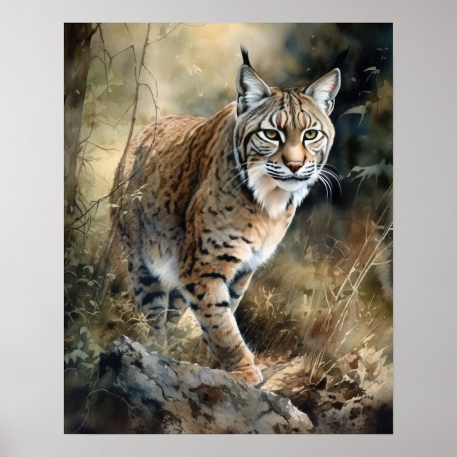 Bobcat Woodland Animal Art Print Poster (Front)