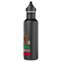 Buy Polar 12 oz Starburst Insulated Water Bottle