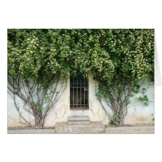 Boboli Gardens Cards (Front Horizontal)
