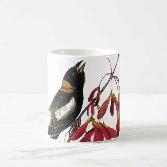 Bobolink by Audubon Coffee Mug (Center)