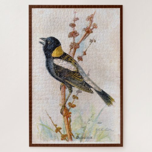 Bobolink Large Bird Puzzle