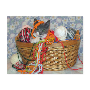 Bob's Fun with Yarn Postcard