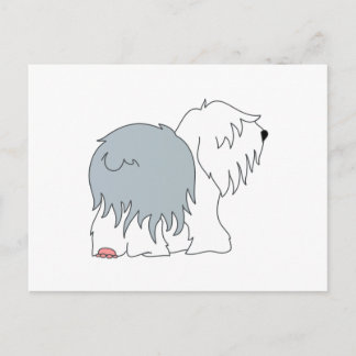 Bobtail Sheepdog Postcard
