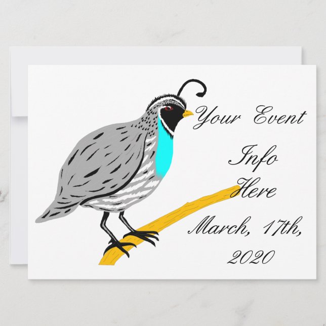 Bobwhite Blue-throated Quail Thunder_Cove (Front)