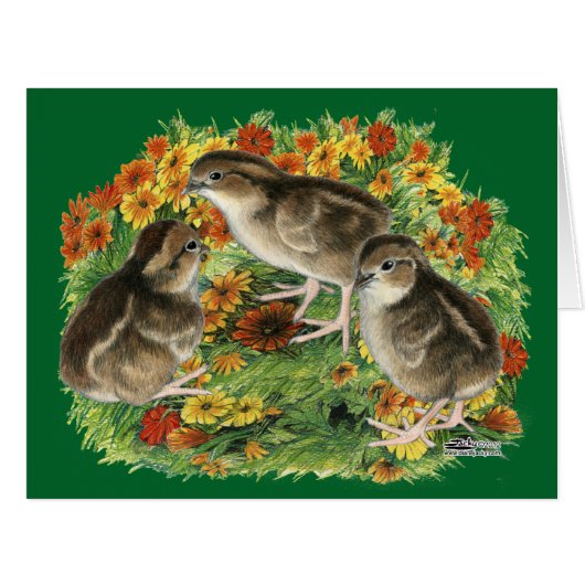Bobwhite Garden Chicks Cards (Front Horizontal)