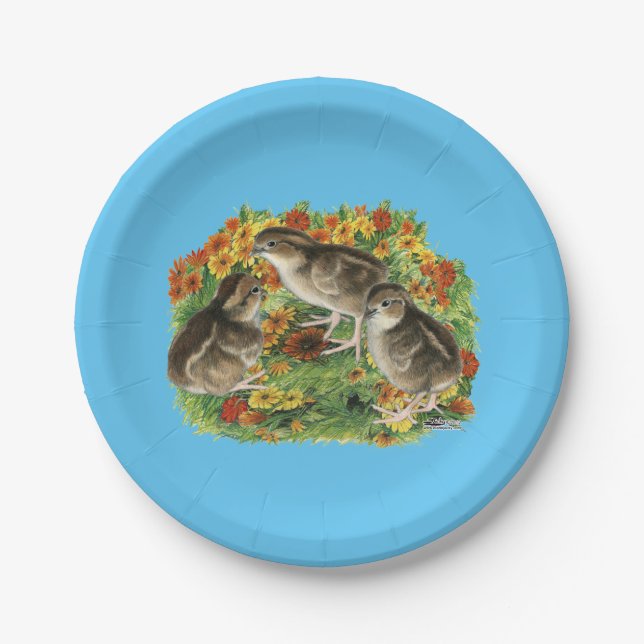 Bobwhite Garden Chicks Paper Plates (Front)
