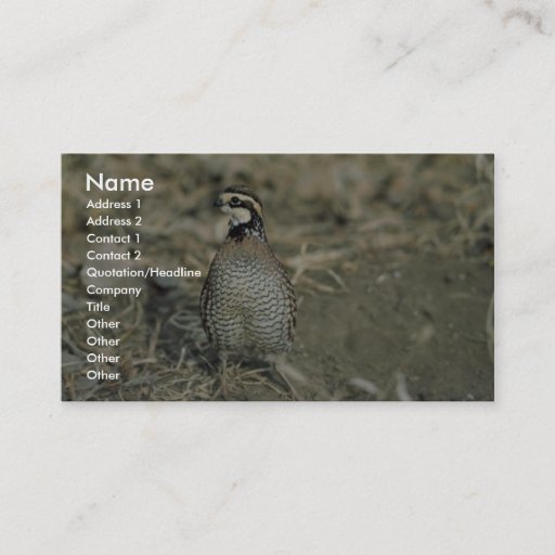 Customizable Bobwhite Quail Business Card