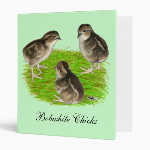 Bobwhite Quail Chicks Binder