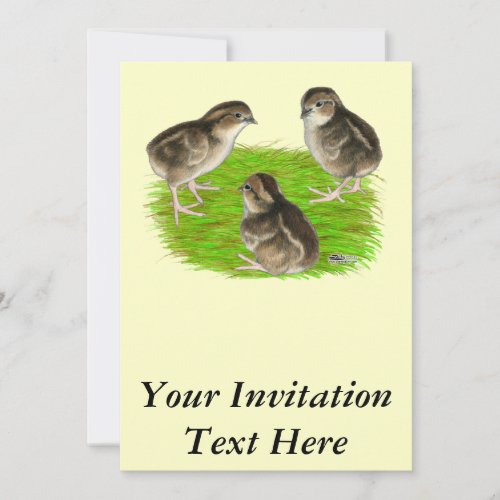 Bobwhite Quail Chicks Invitation