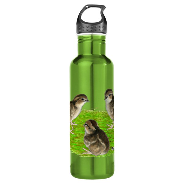 Bobwhite Quail Chicks Water Bottle (Front)