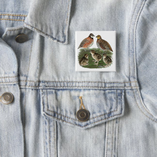 Bobwhite Quail Family Button