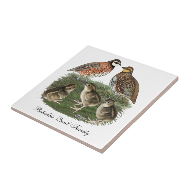 Bobwhite Quail Family Ceramic Tile (Side)