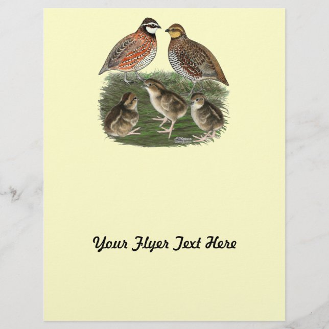 Bobwhite Quail Family Flyer (Front)