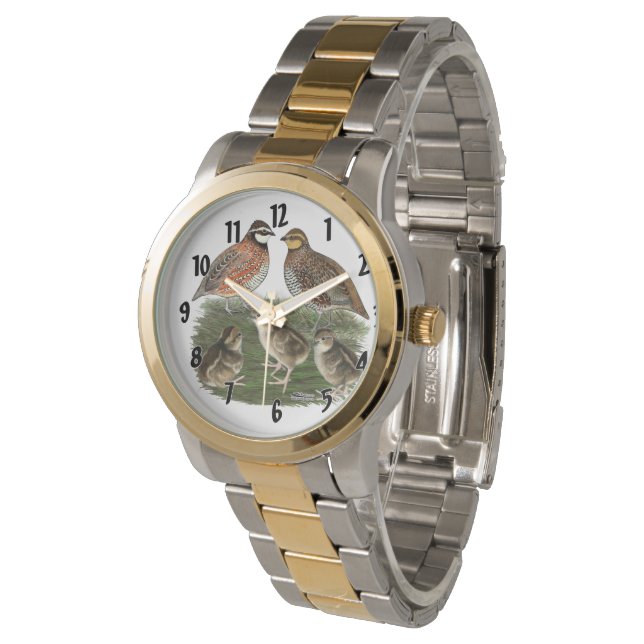 Bobwhite Quail Family Watch (Angled)