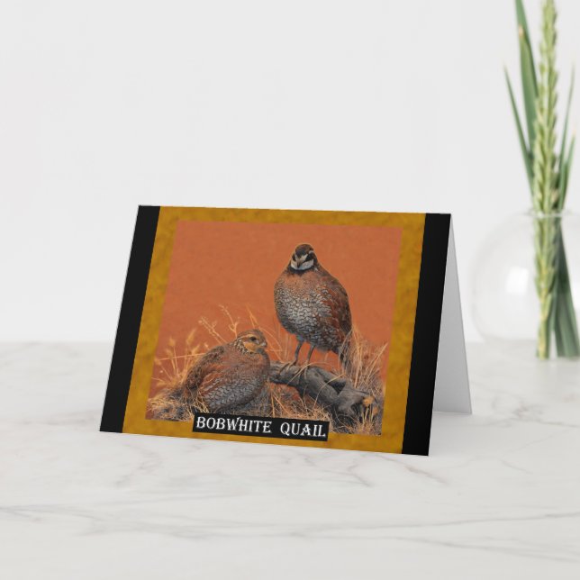 Bobwhite Quail (Georgia, Missouri and Tennessee) Card (Front)